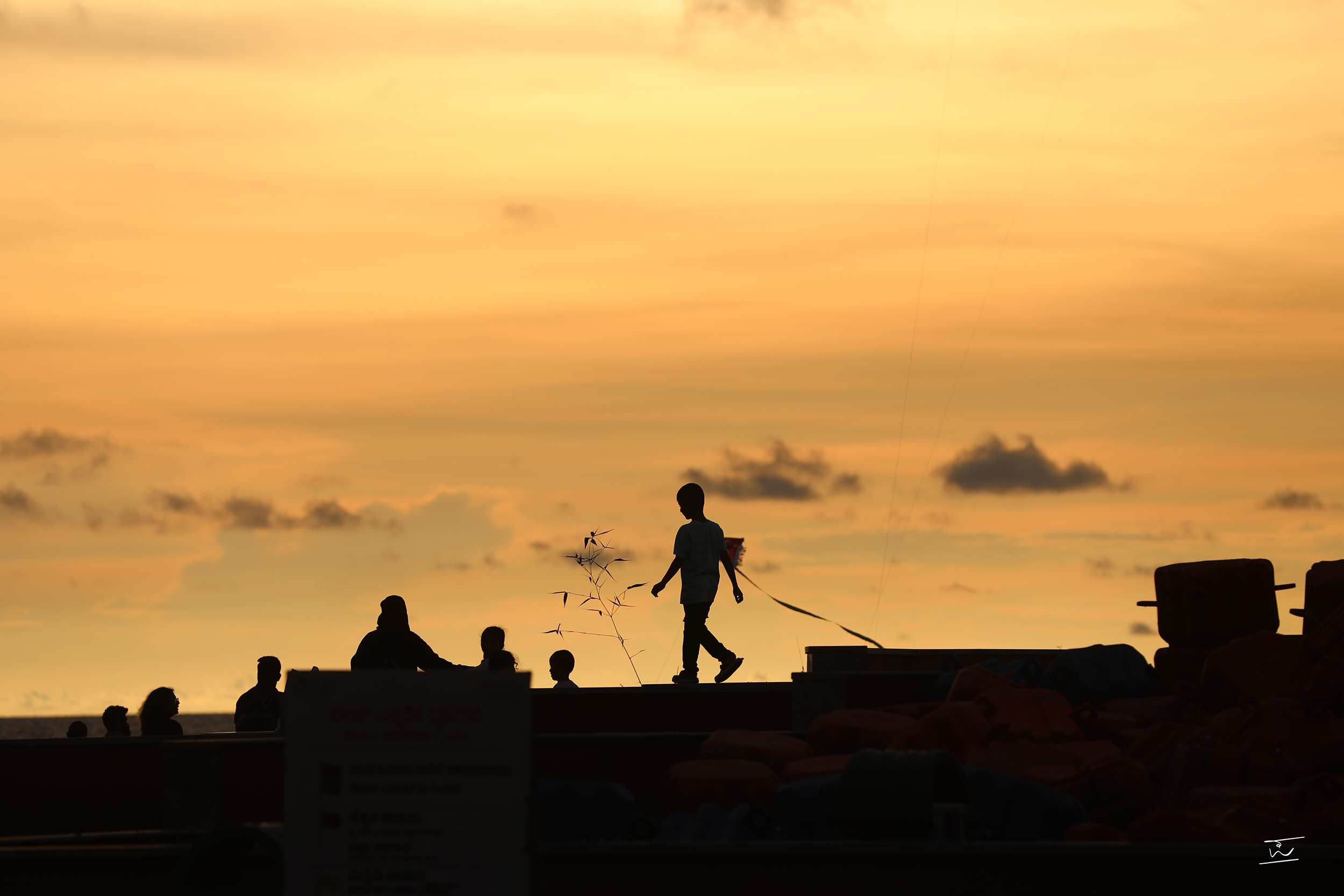 Kite Tales at Twilight