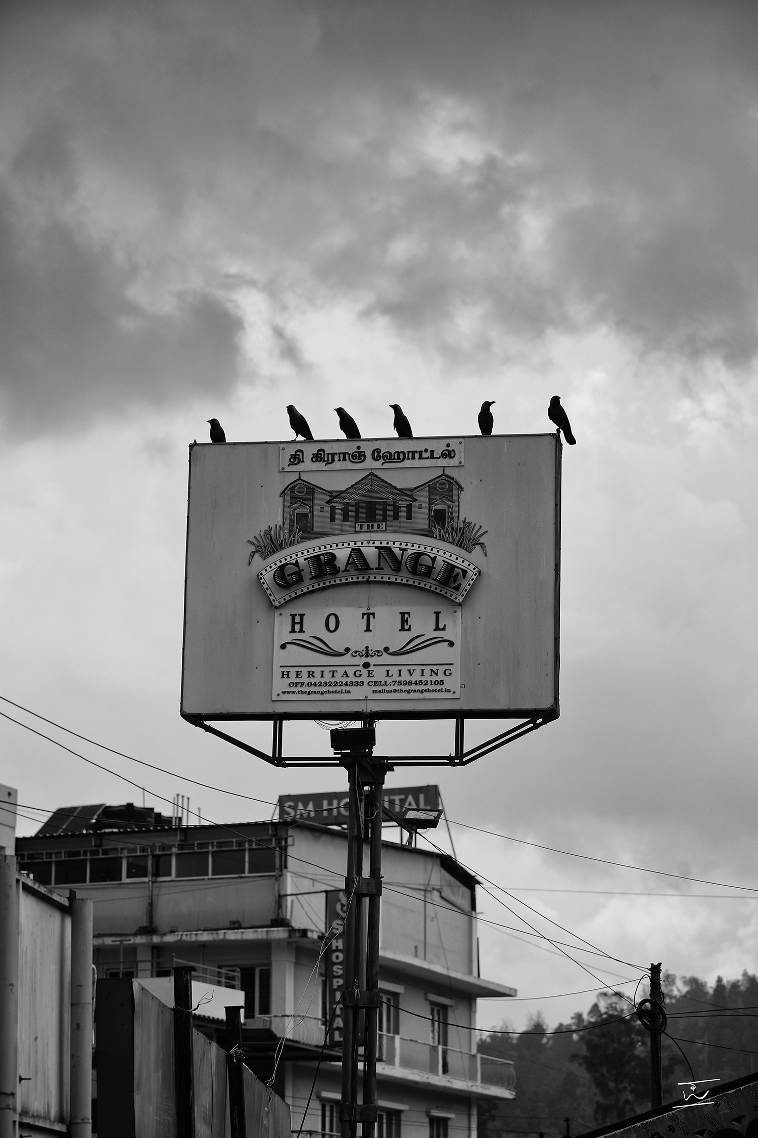 Crows Crown The Grange
